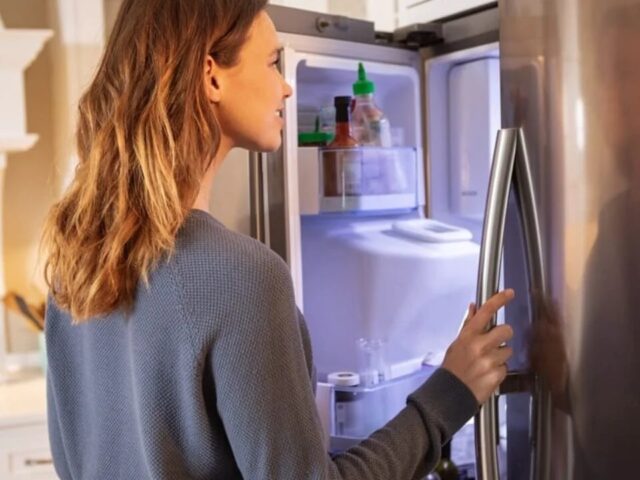 Como escolher a melhor geladeira para casa?